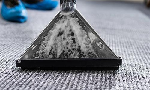 Keep Your Space’s Fresh With Professional Carpet Cleaning Services